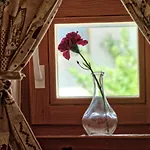 Apartamento Jacobs House Planica *