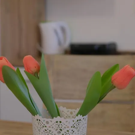 Apartamento Jacobs House Planica