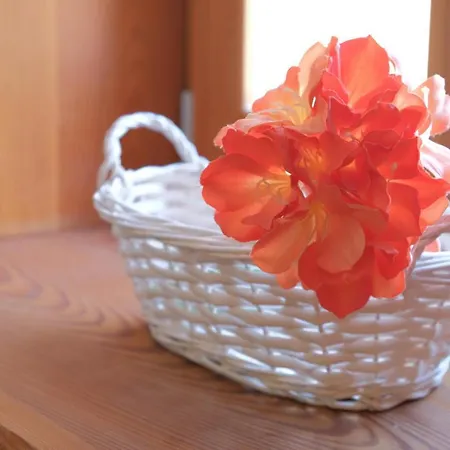 Apartamento Jacobs House Planica