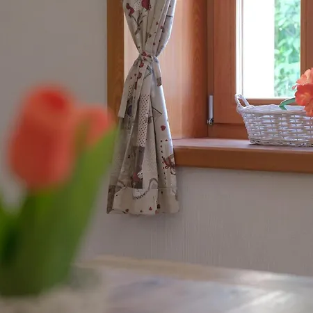 Jacobs House Planica Apartma