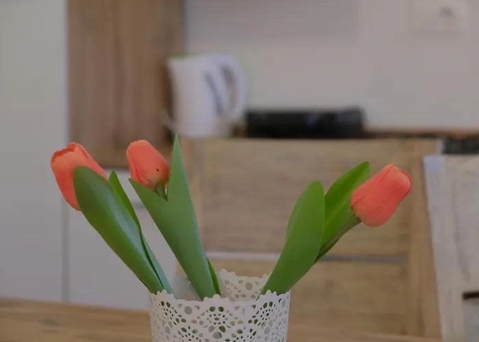 Апартаменты Jacobs House Planica