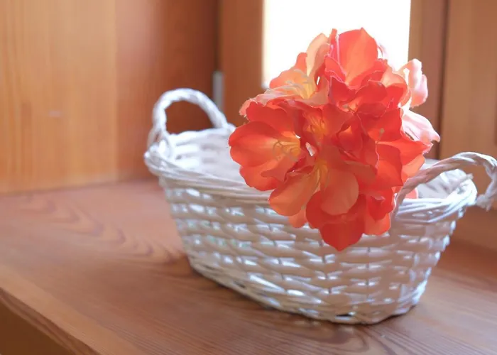 Apartma Jacobs House Planica