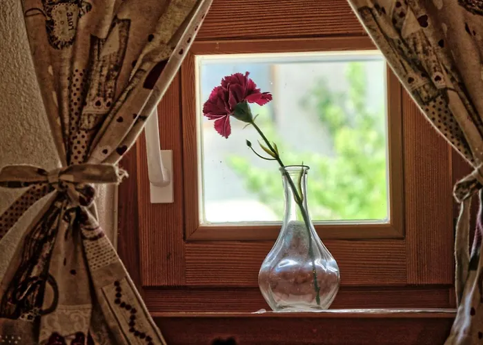 Apartma Jacobs House Planica *