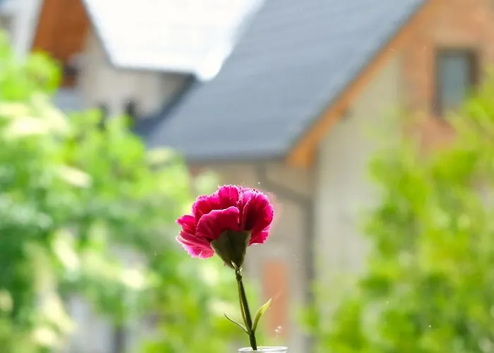 アパート Jacobs House Planica クランスカゴーラ